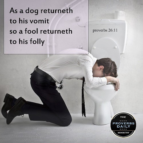 Proverbs 2611 As a dog to his vomit, so a fool… Flickr