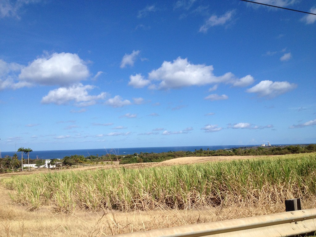 River Bay St Lucy Flickr