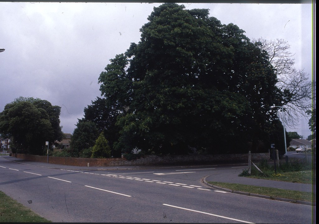 MUSCLIFFE LANE / GRANBY RD. BOURNEMOUTH. DORSET. JULY 1987… Flickr