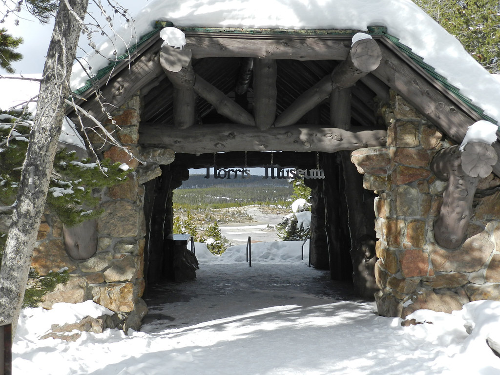 Norris Museum Norris Museum; Diane Renkin; February, 2013;… Flickr