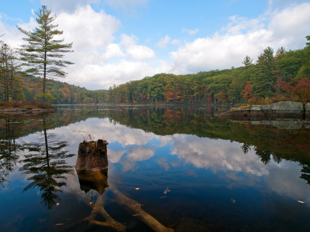 Fall Reflections Photographed in Colrain, MA. Credit USFW… U.S