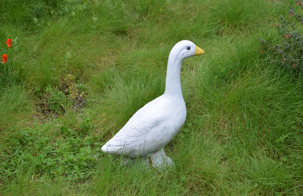 Old Cement Garden Painted Goose from East Bay Wilds Native… Flickr