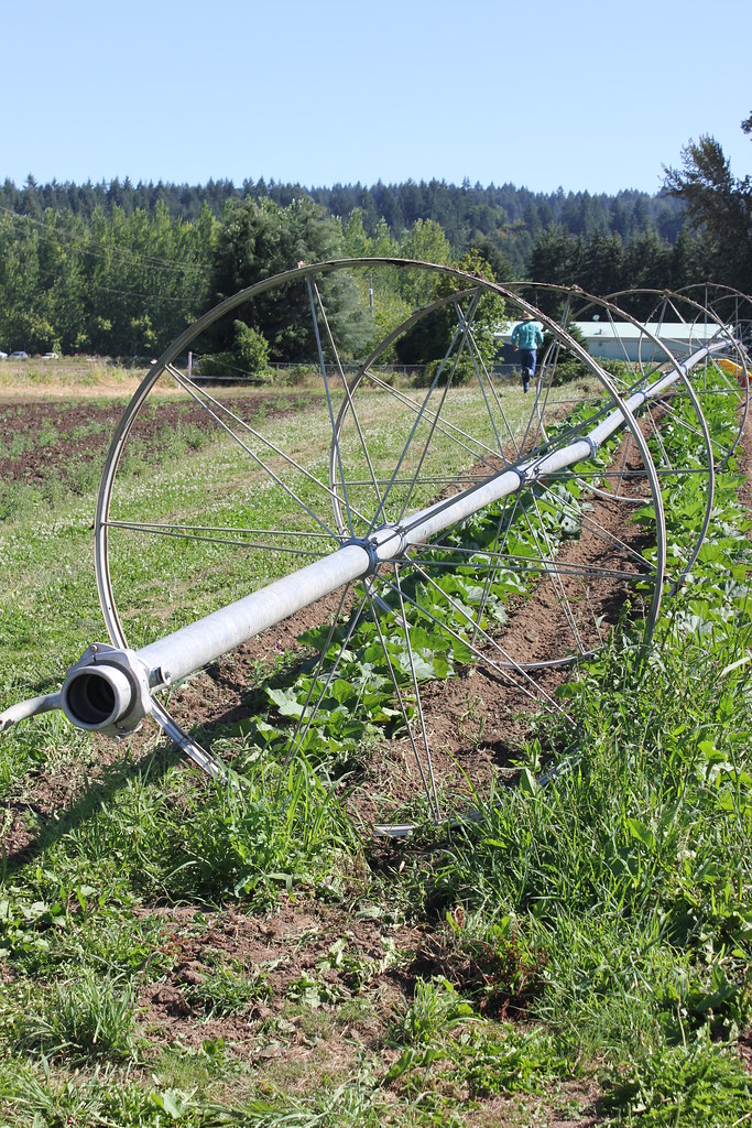 Minto Island Growers Organic Farm SALEM, Ore. Husband an… Flickr