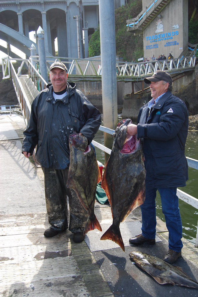 Halibut Fishing in Depoe Bay Halibut fishing in Oregon Flickr