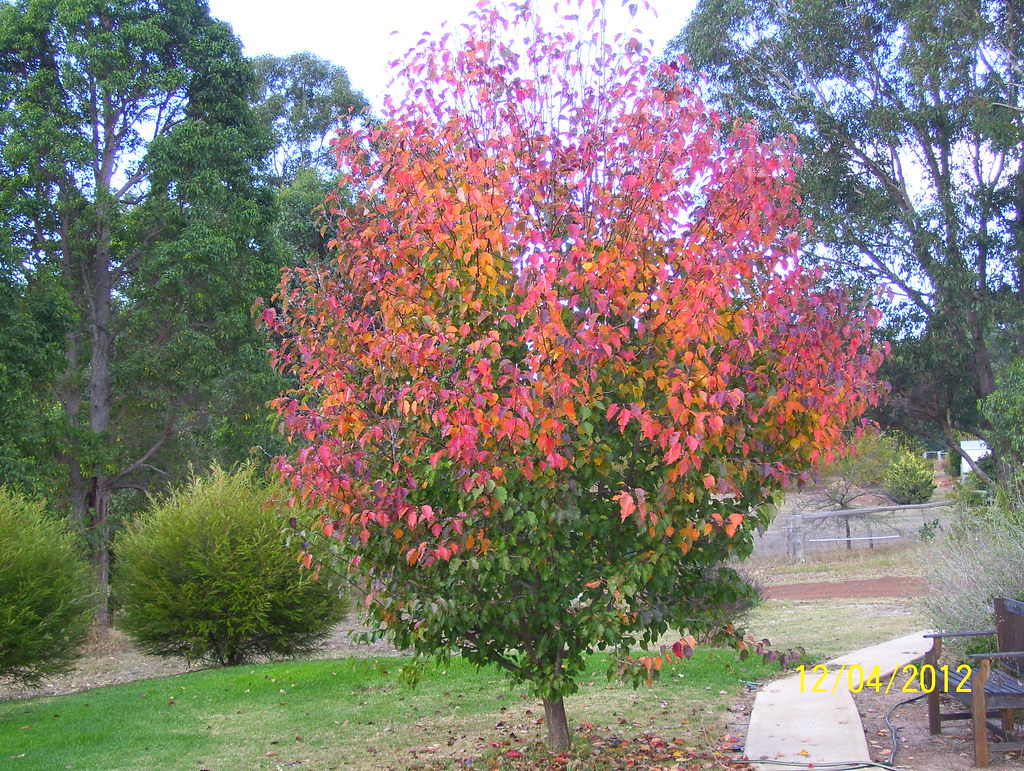 OUR HOUSE 2012 003 JOHN ELLIOTT Flickr