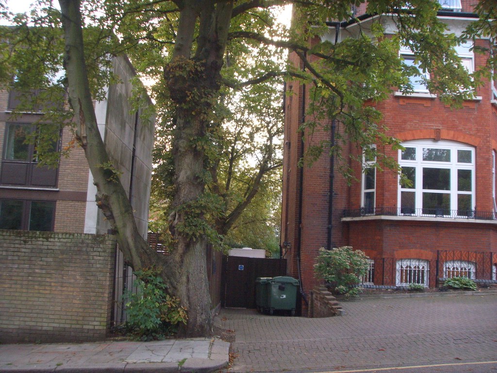 Maresfield Gardens 52 RedFrog Hampstead London Flickr