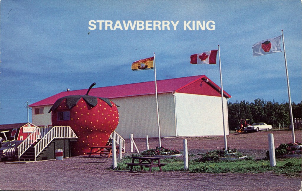 Riverside Strawberry Farm, Belledune, New Brunswick Flickr