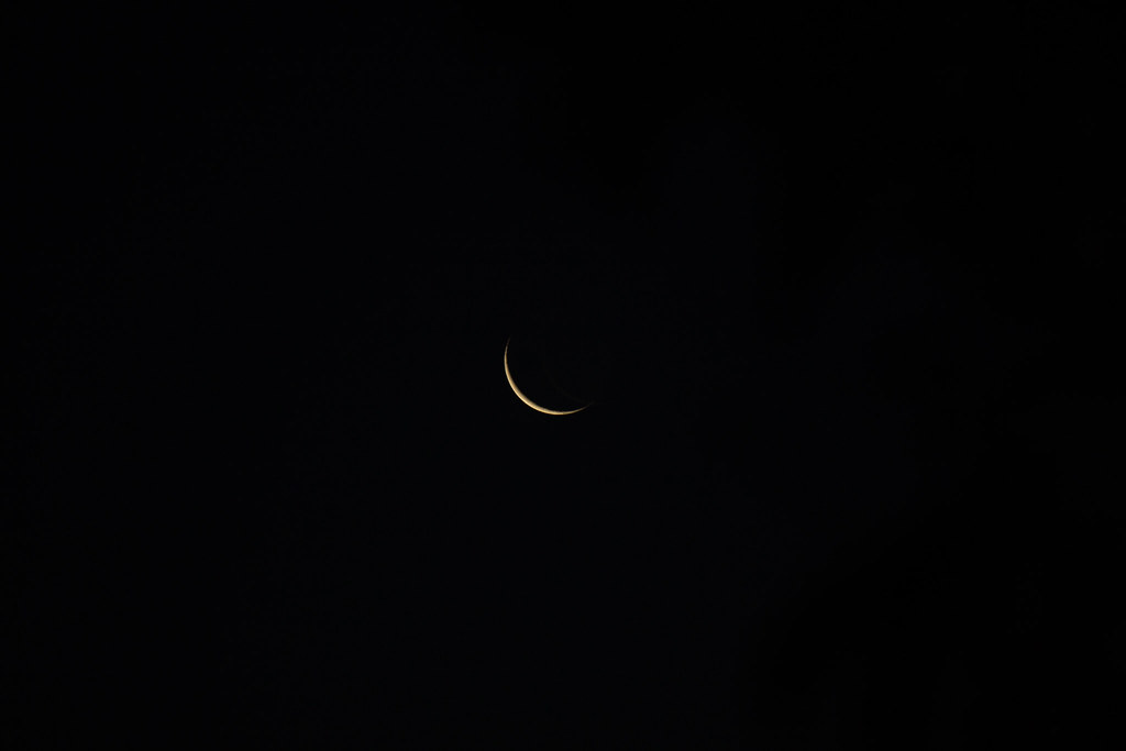 IMG_7260 Mark Benson Flickr