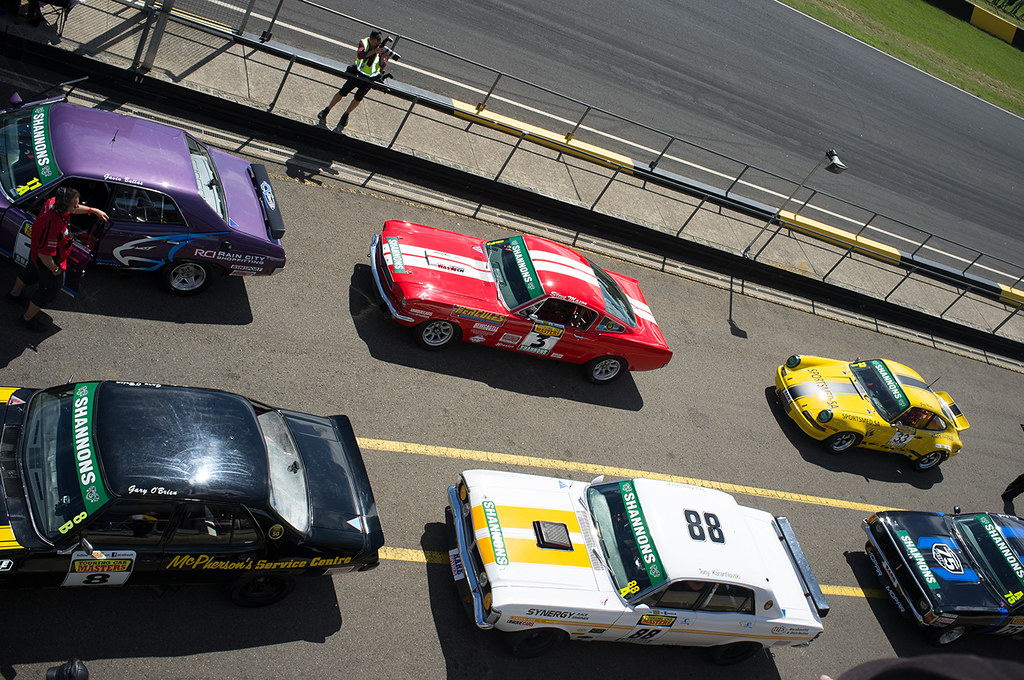 Touring Car Masters Touring Car Masters field lining up in