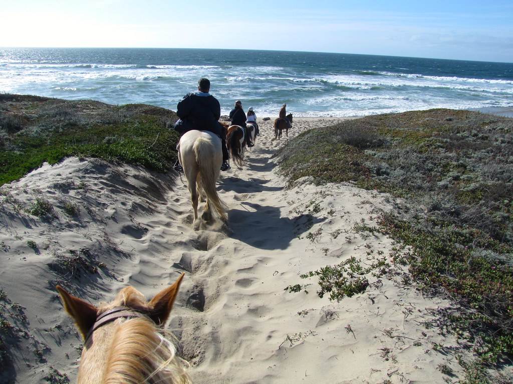 Horseback Riding on Salinas River State Beach Monterey Bay… Flickr