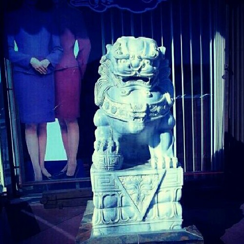 fu dog could have done better but I like it renfieldla Flickr