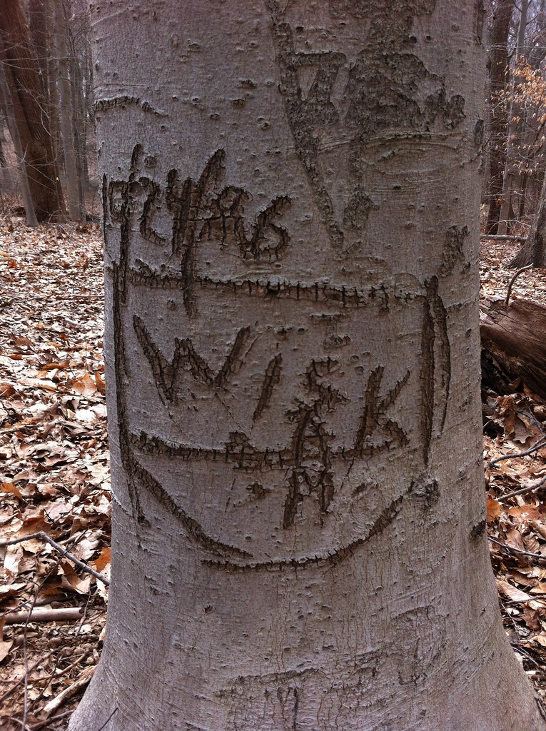 Welwyn Preserve County Park, Long Island, New York March … Flickr