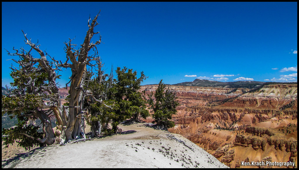 Elevation of Duck Creek Village, UT, USA Topographic Map Altitude Map