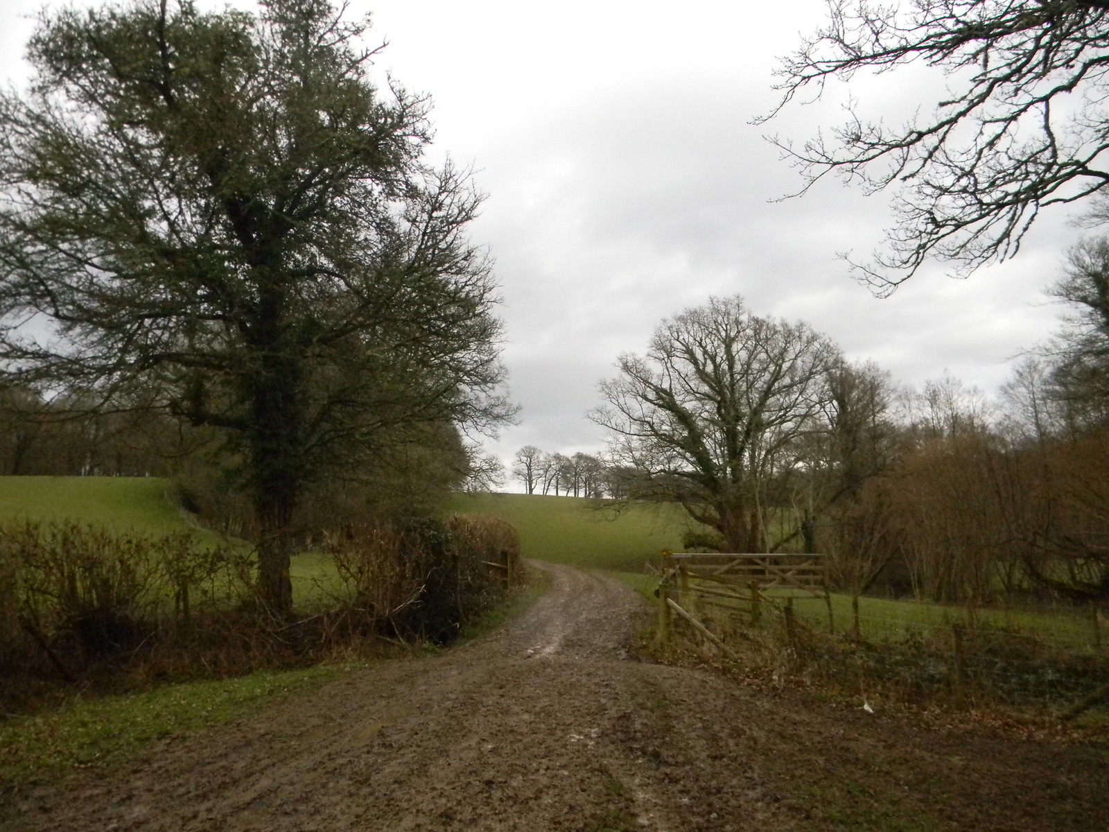 Photos Stonegate to Robertsbridge Walk SWC