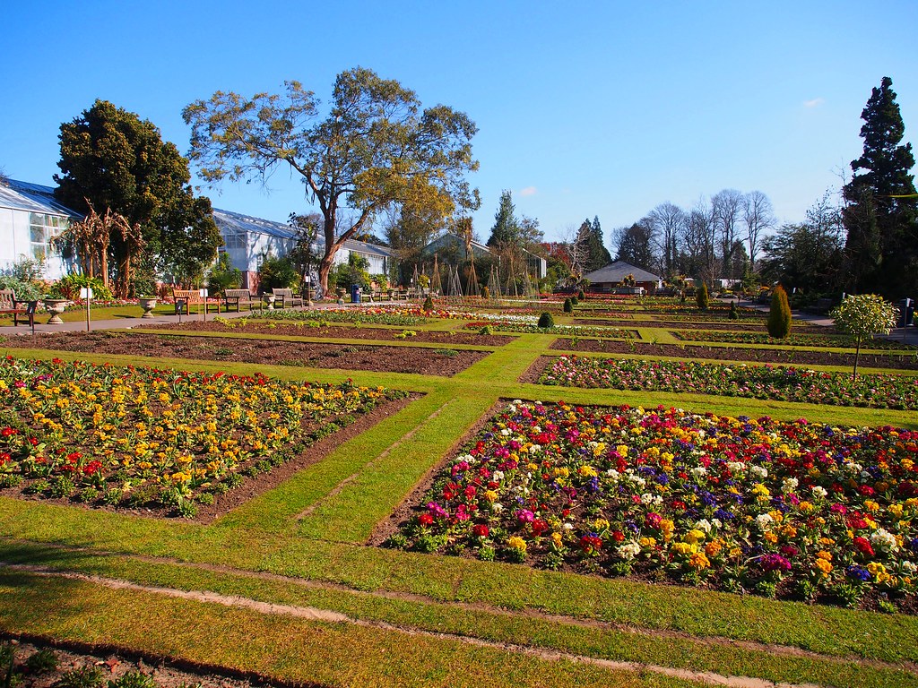 Flowers Swansea Botanical Gardens Singleton Park 6th Apr… Flickr