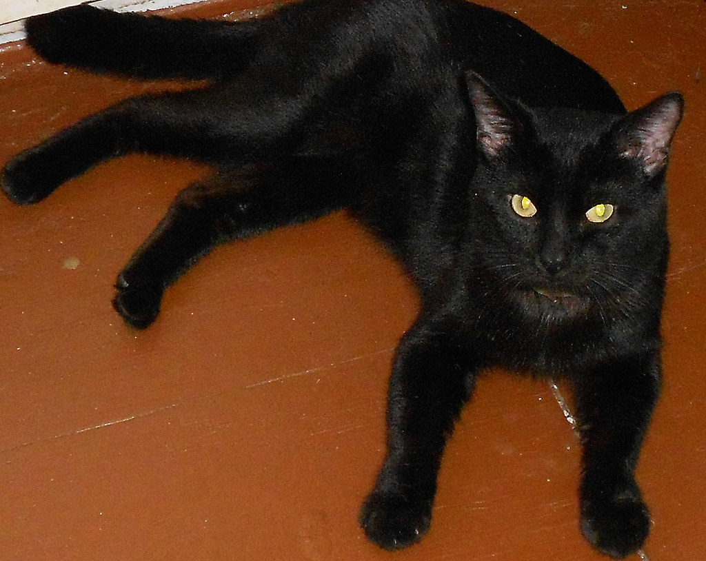 1252013 Grama's House Flickr