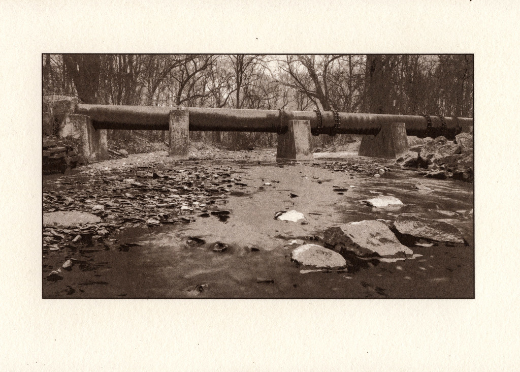 Adena Brook Platinumtoned Kallitype on handcoated Arches… Flickr