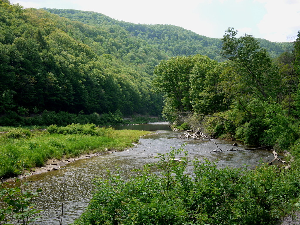Greenbrier River, WV 2010 Longest undammed river in the … Flickr
