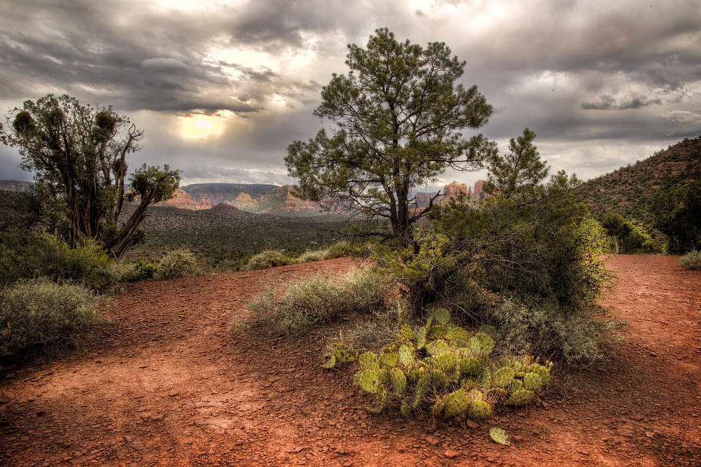 Elevation of S Page Springs Rd, Cornville, AZ, USA Topographic Map