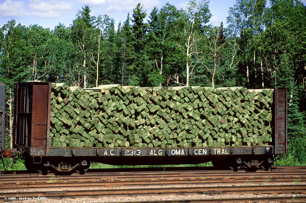 AC_2313_HawkJunction_ON_6291988_92183 A carload of so… Flickr