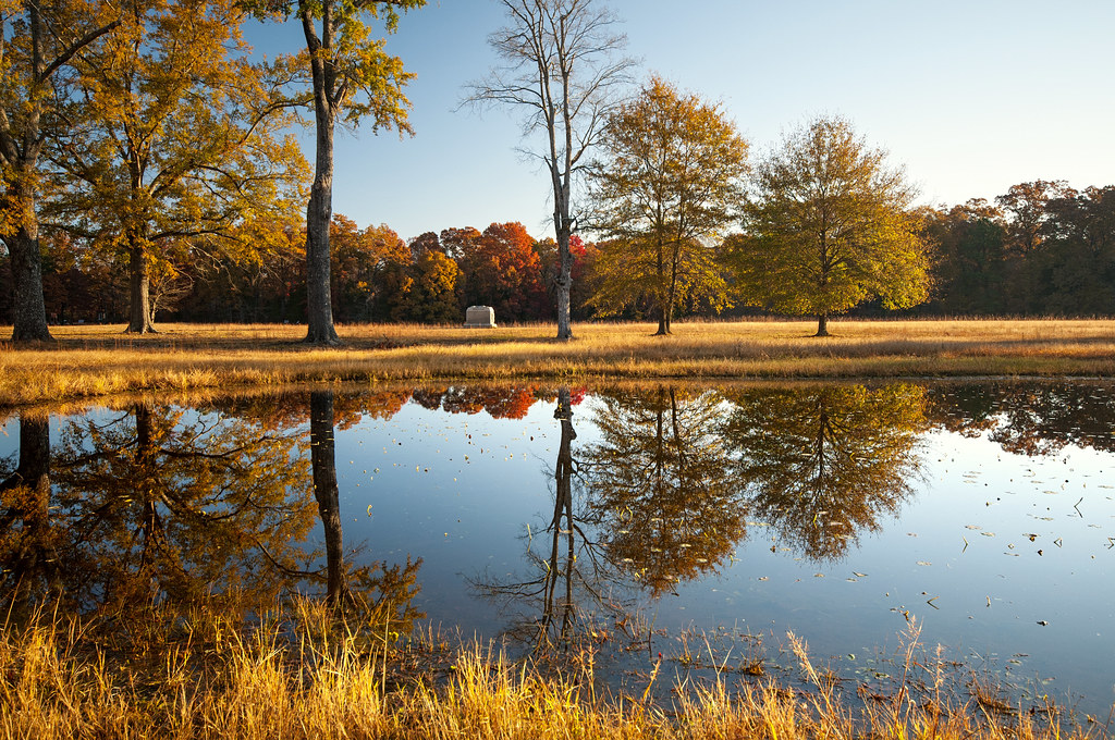 Elevation of Stacy R Wilkerson & Staff, Florence Rd, Savannah, TN, USA