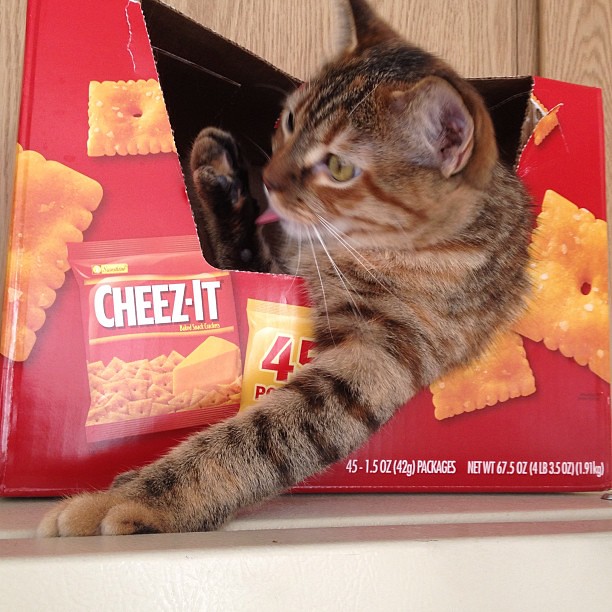 Flickriver Photos from Tyler_Willow