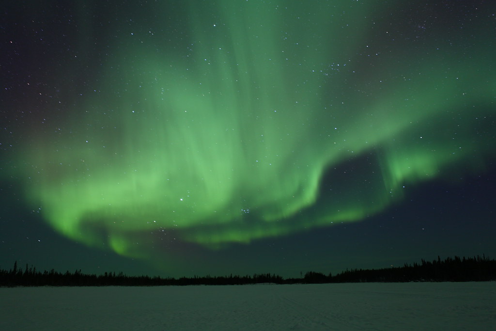 Northern Light Beck's Kennels, Yellowknife GoToVan Flickr