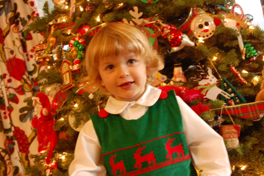 DSC_1414 the douglas house Flickr