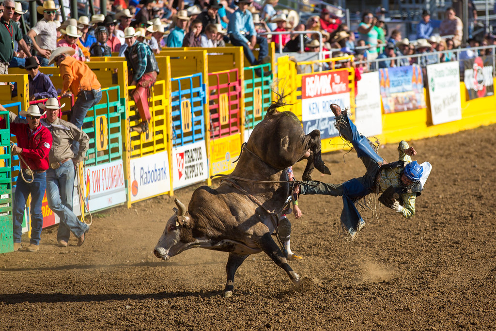 Rodeo, Red Bluff, 2013 danishdynamite Flickr