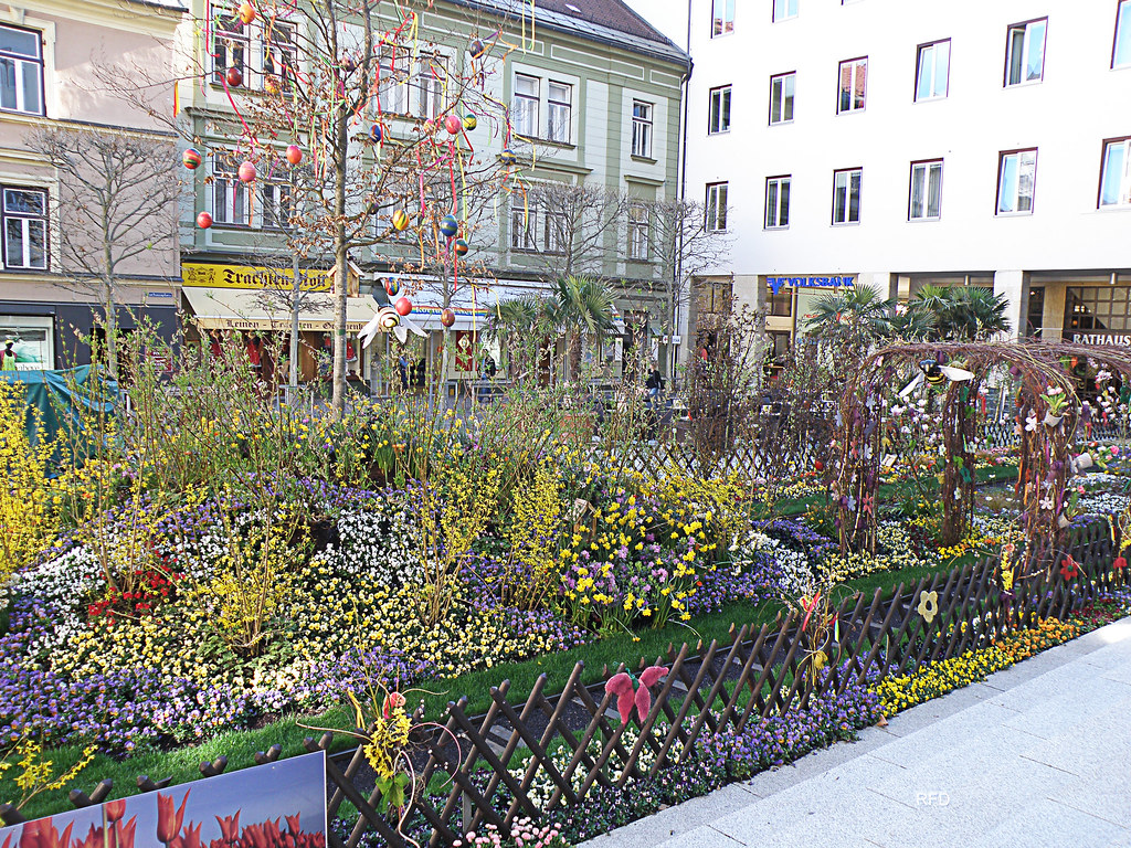Villach blüht... Blumenmarkt am 24. 04. 2013 Rudolf Dueller Flickr