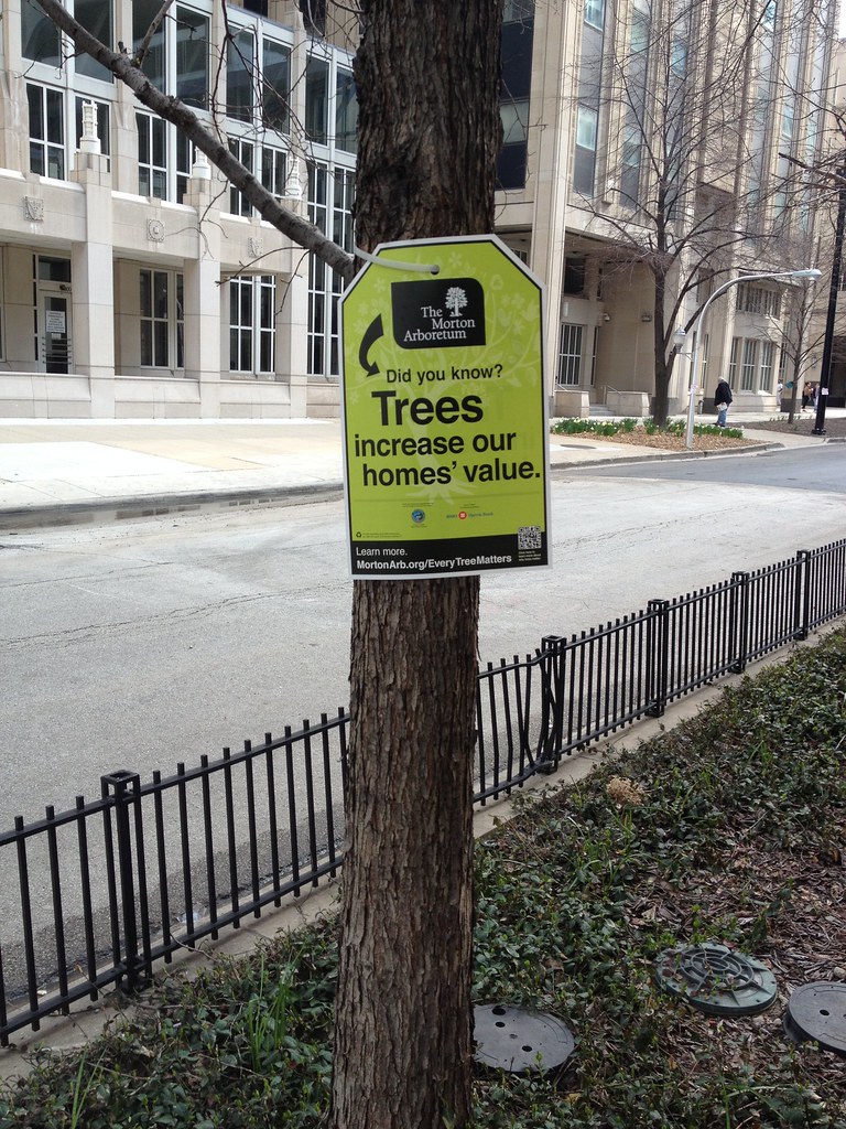 Trees increase our homes' value Chicago's East Superior St… Flickr