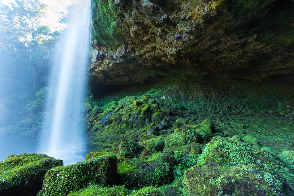 Elevation of Showground Road, Waimate North, New Zealand Topographic