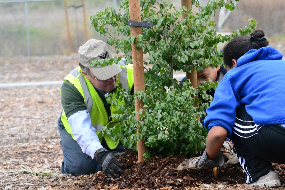 Tree Care at Meadowfair Park Our City Forest Flickr