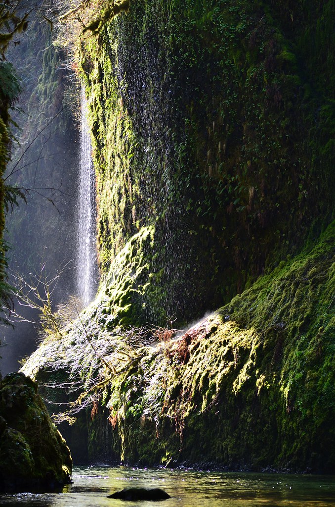 Mermaid Avenue 3.25.13 Eagle Creek Trail This shot taken… Flickr