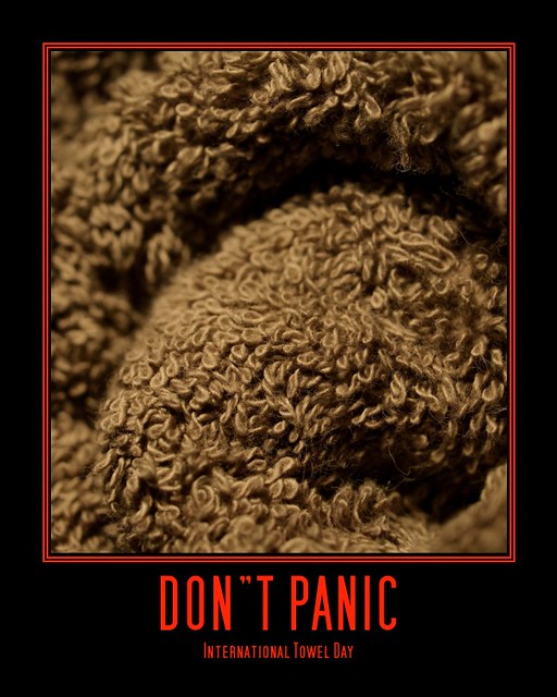 international towel day 2023 25 International Towel Day Susan Pretorius Flickr