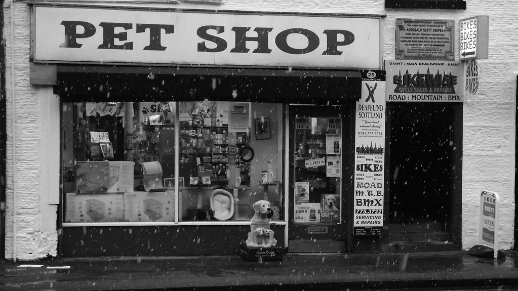 pet shop, snowy day local pet store in Kirkintilloch high … Flickr