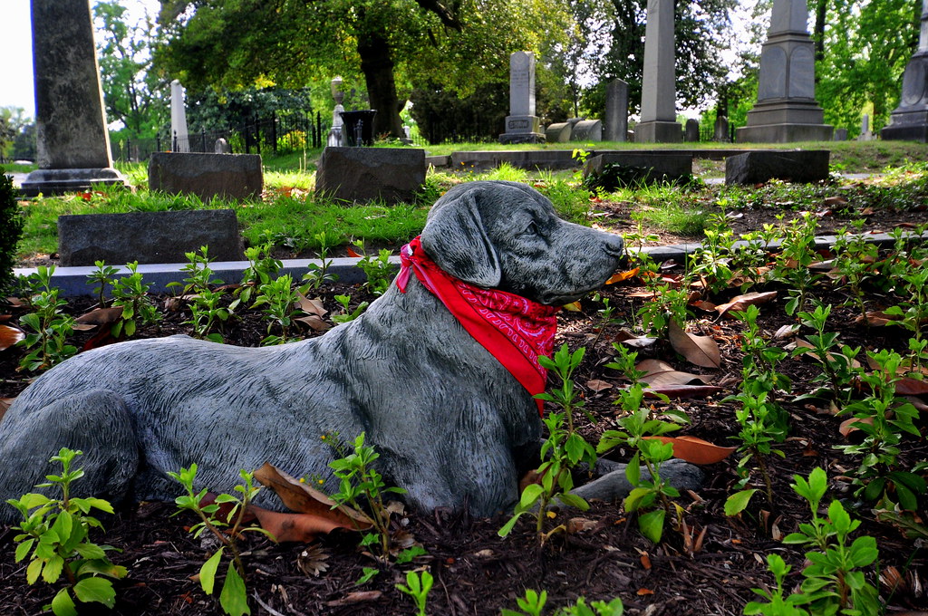 Hollywood Cemetery Richmond VA Hollywood Cemetery is a bea… Flickr