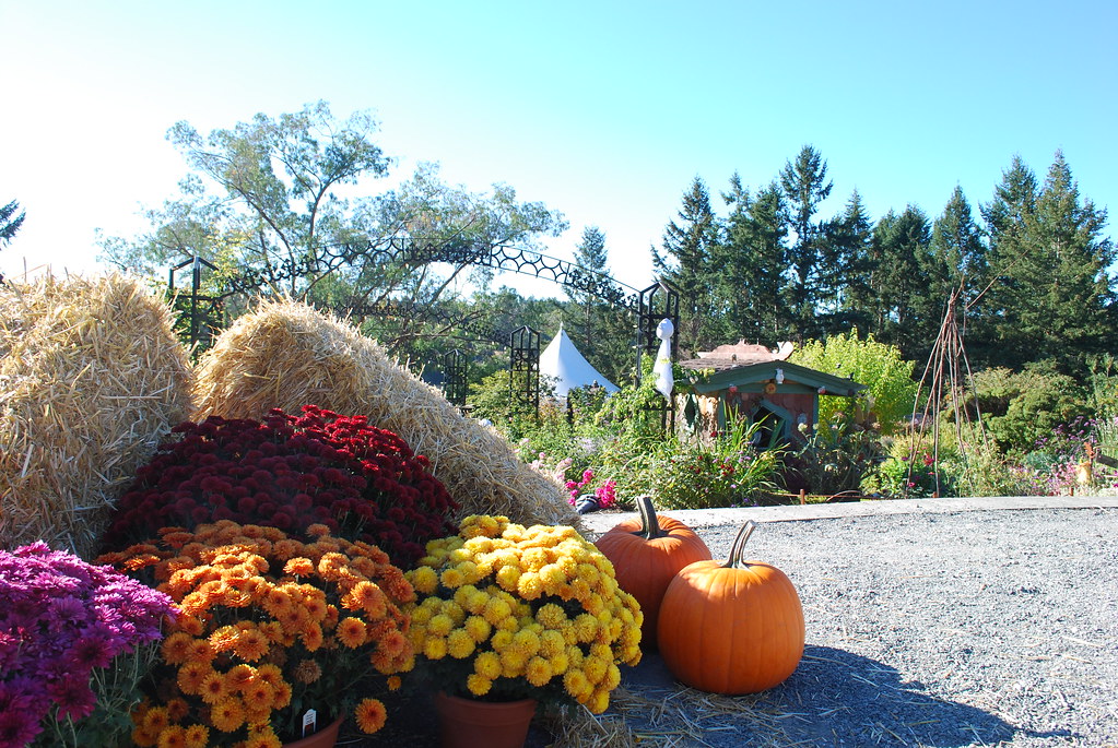 Glendale Gardens Andrea Darlington Flickr