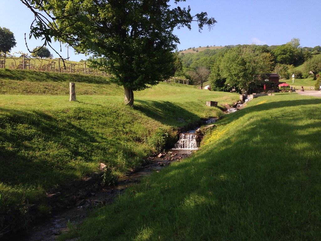 Sugar Loaf vineyard, Abergavenny Shakespearesmonkey Flickr