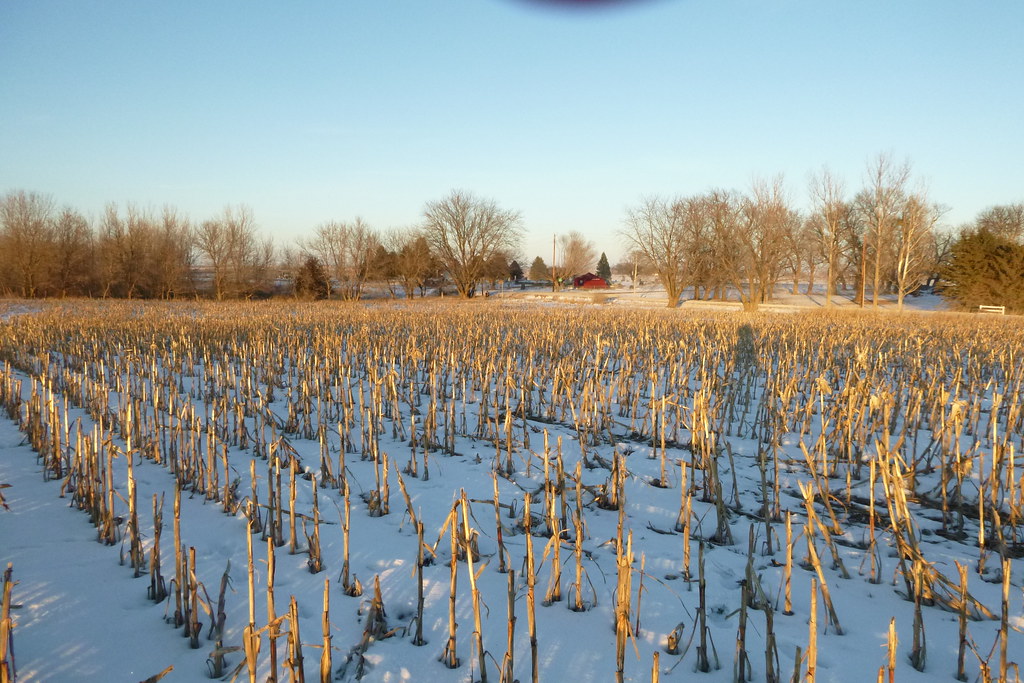 Elevation of Dows, IA, USA Topographic Map Altitude Map