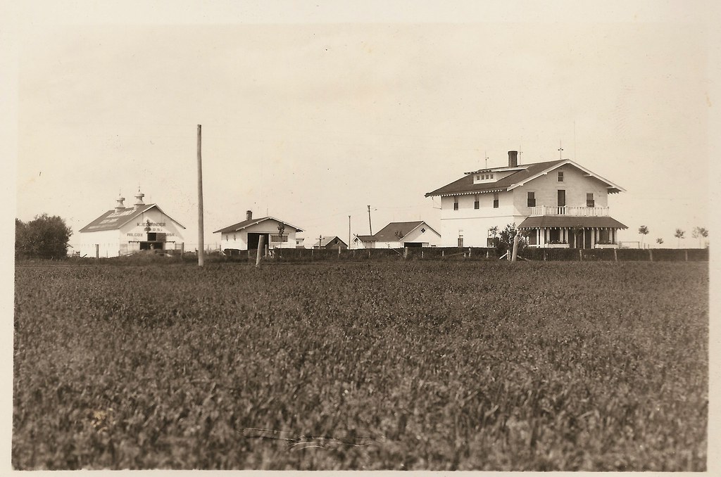 Kjellander Bros. Farm near Wilcox, Sask. Typed on back "F… Flickr
