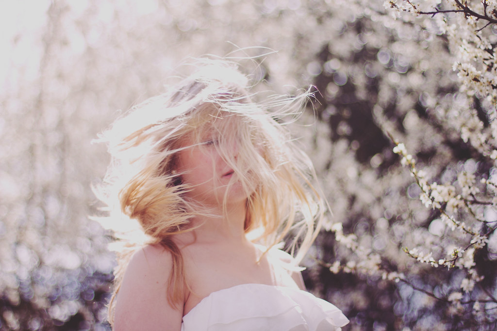 Blossom Kisses she keeps on dreaming Flickr