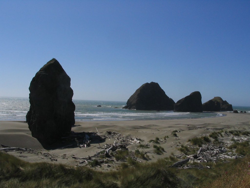 Beach Etiquette Tips for Your Next Visit to Gold Beach, Oregon Gold