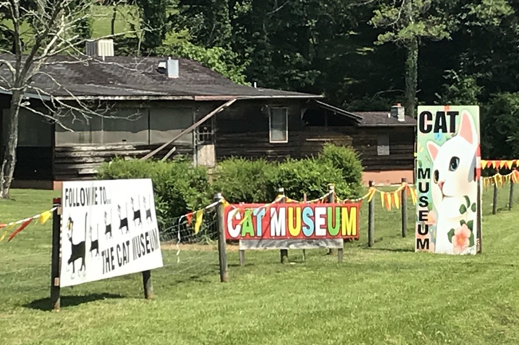 American Museum of the House Cat Sylva, North Carolina Flickr