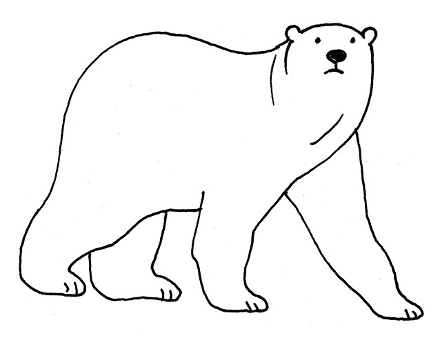 Disegni Da Colorare Orso Polare Coloring Image