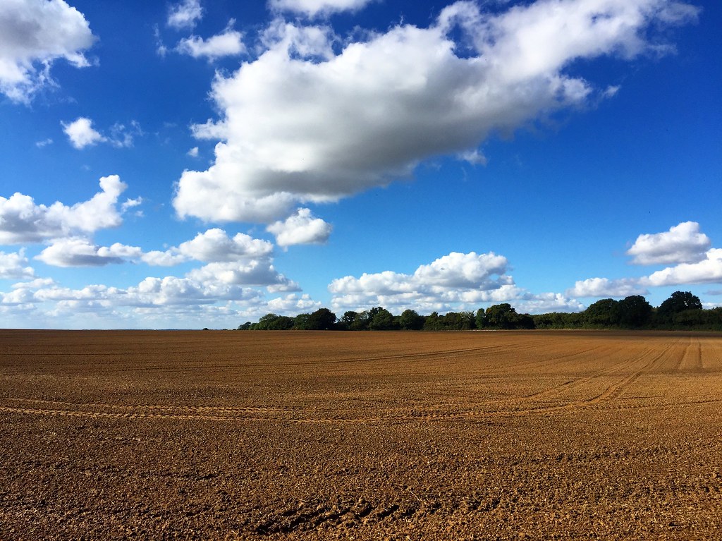 Ploughed Fields & Fluffy Clouds Four Marks, Hampshire. Flickr