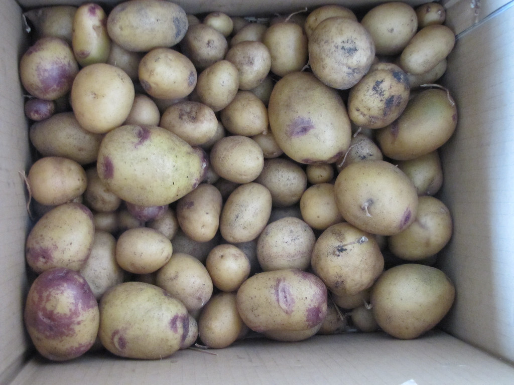 Potatoes Redmond Western Australia A box of potatoes fro… Flickr