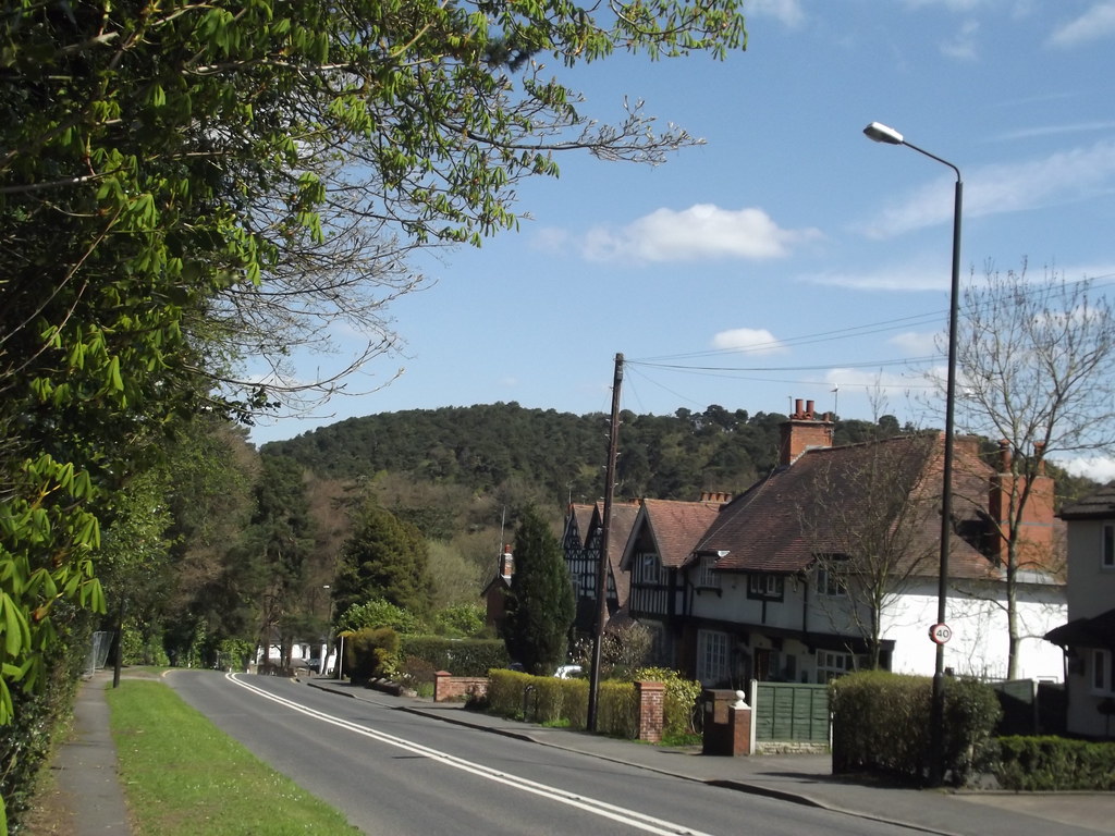 Rose Hill, Lickey Pinfield Woods a photo on Flickriver