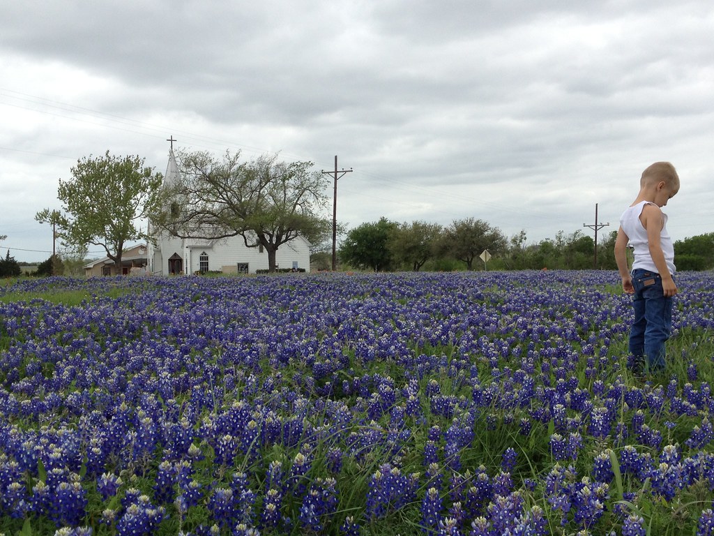 Checking out the field in Whitehall… Flickr