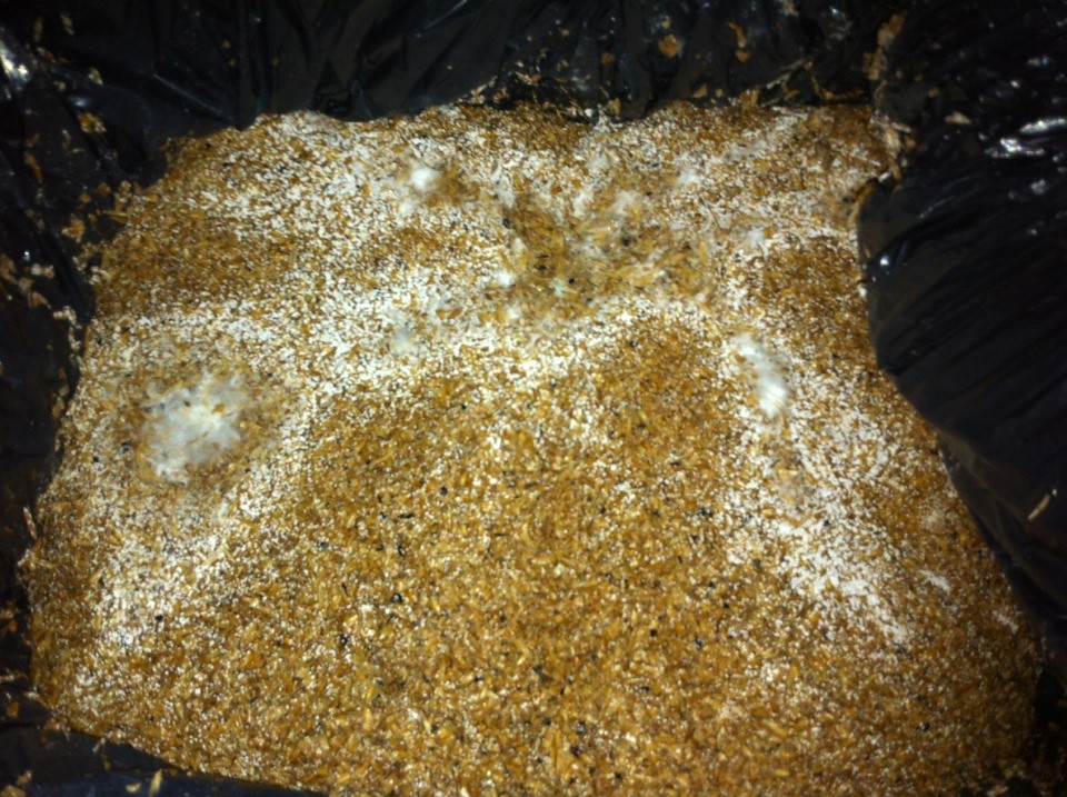 Bokashi Process Jan McLaughlin Flickr